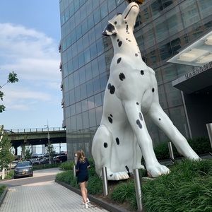 Meet your Posher, Frankie